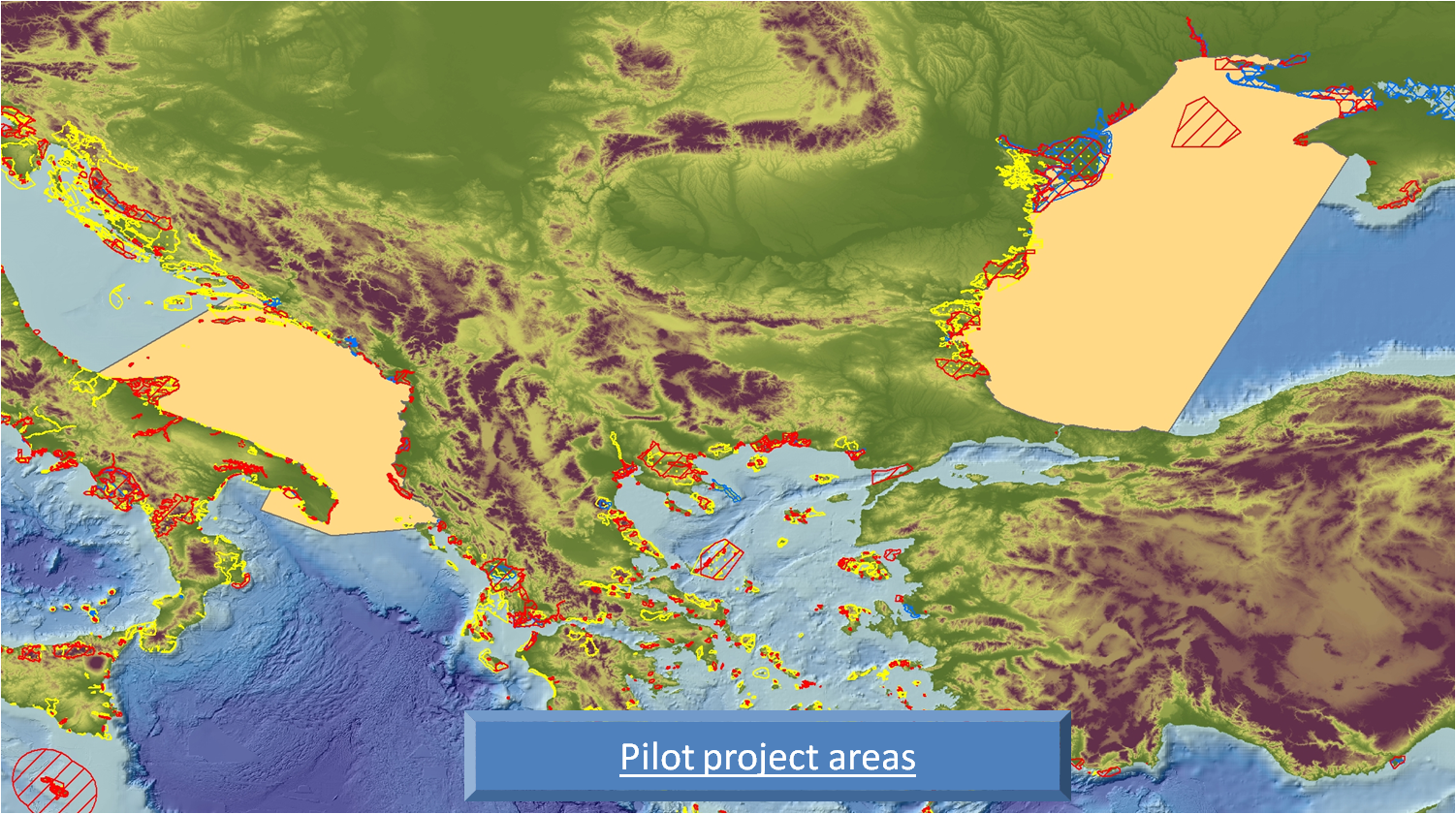 Pilot project scale